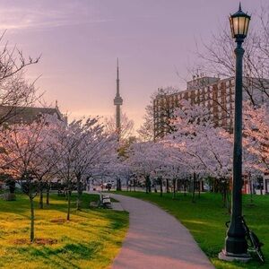 Hello It’s Nice to meet you